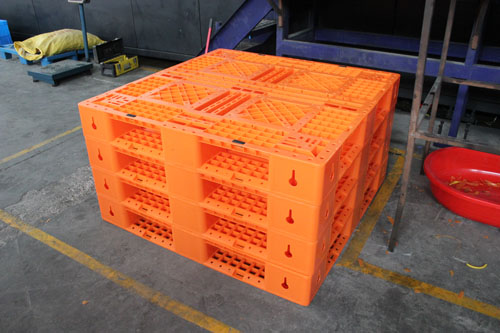 圖片9.jpg 圖片9.jpg