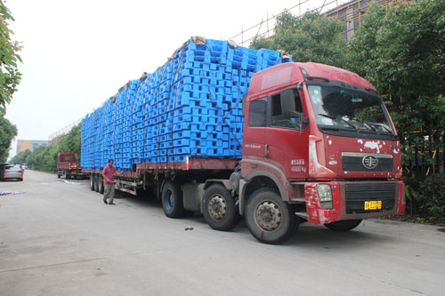 IMG_3784.jpg IMG_3784.jpg