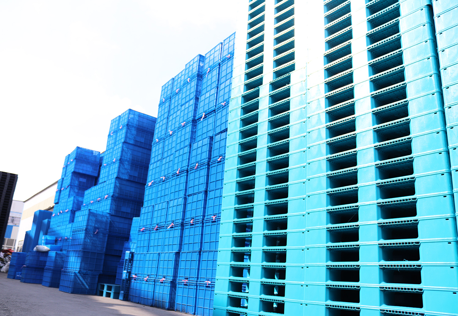 塑料托盤 塑料托盤