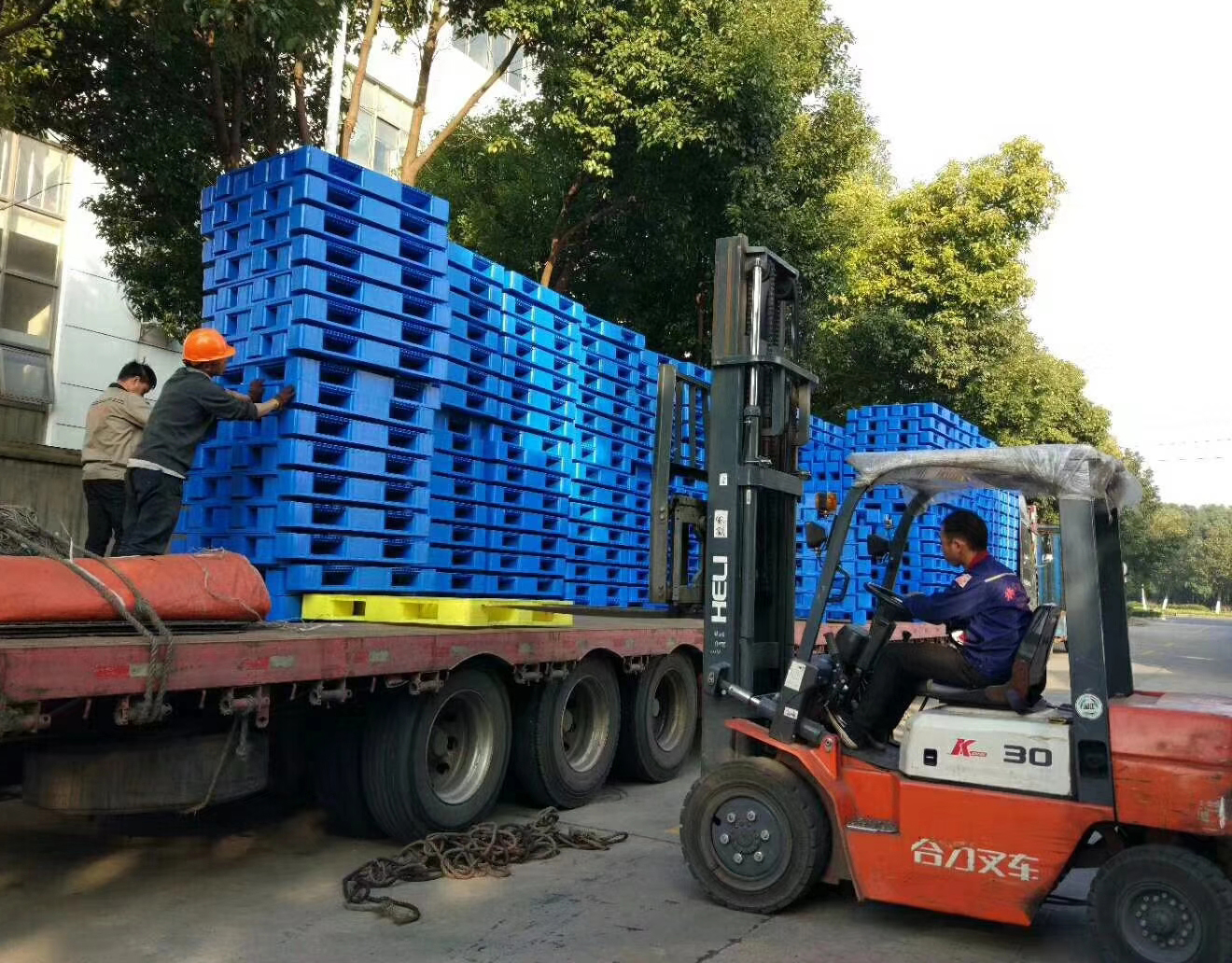 叉車和塑料托盤配套使用圖.jpg 叉車和塑料托盤配套使用圖.jpg