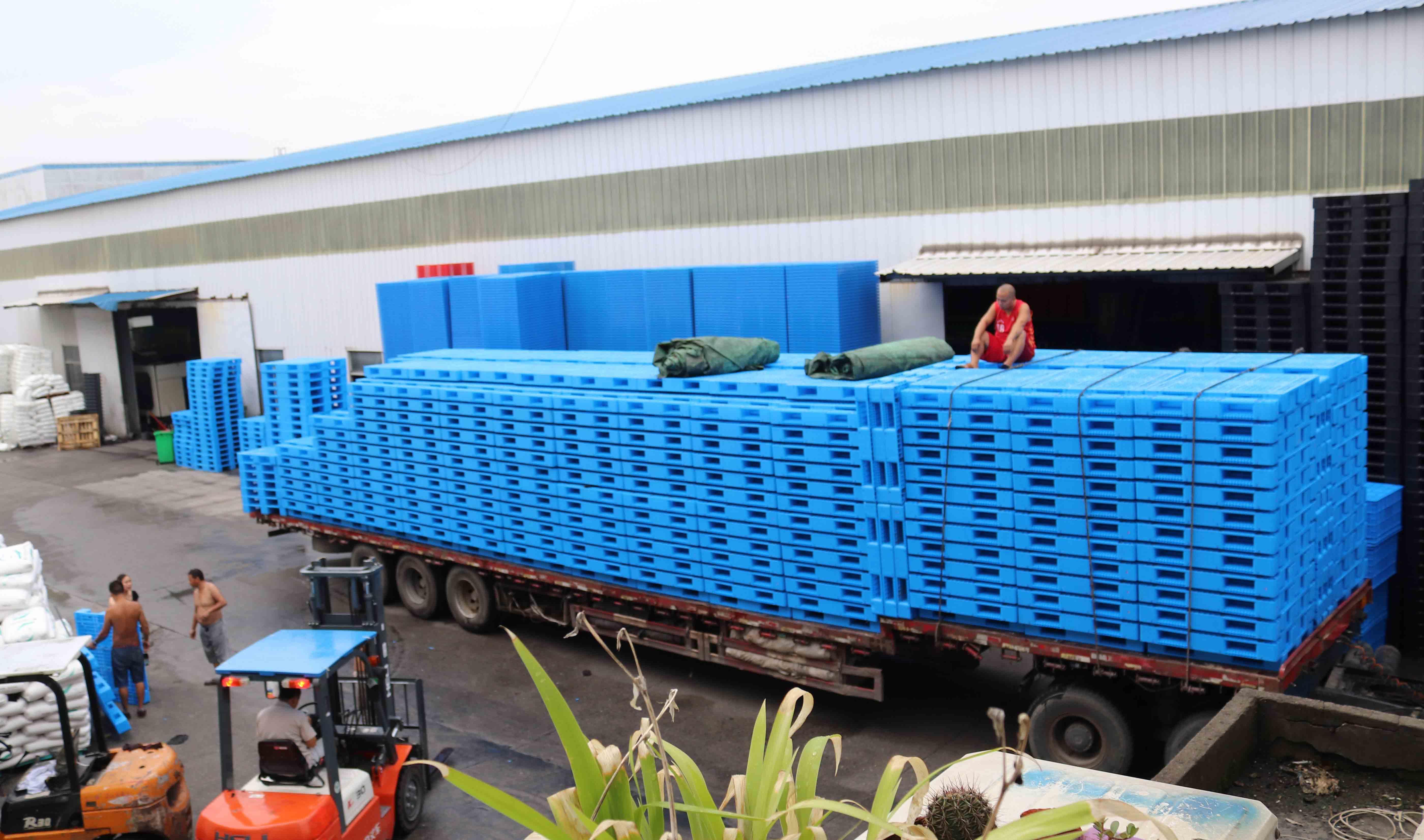 塑料托盤高考卷，你能滿分算我輸！