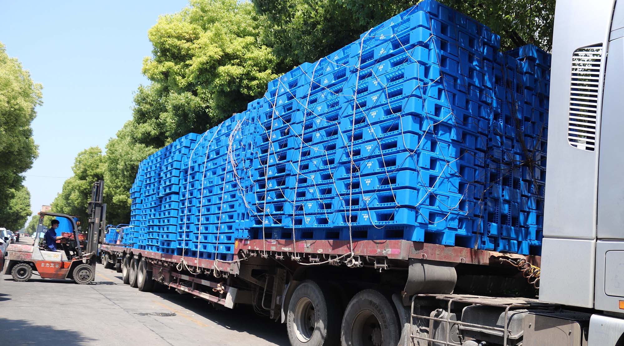 買塑料托盤都要靠搶，這家公司真的瘋了！