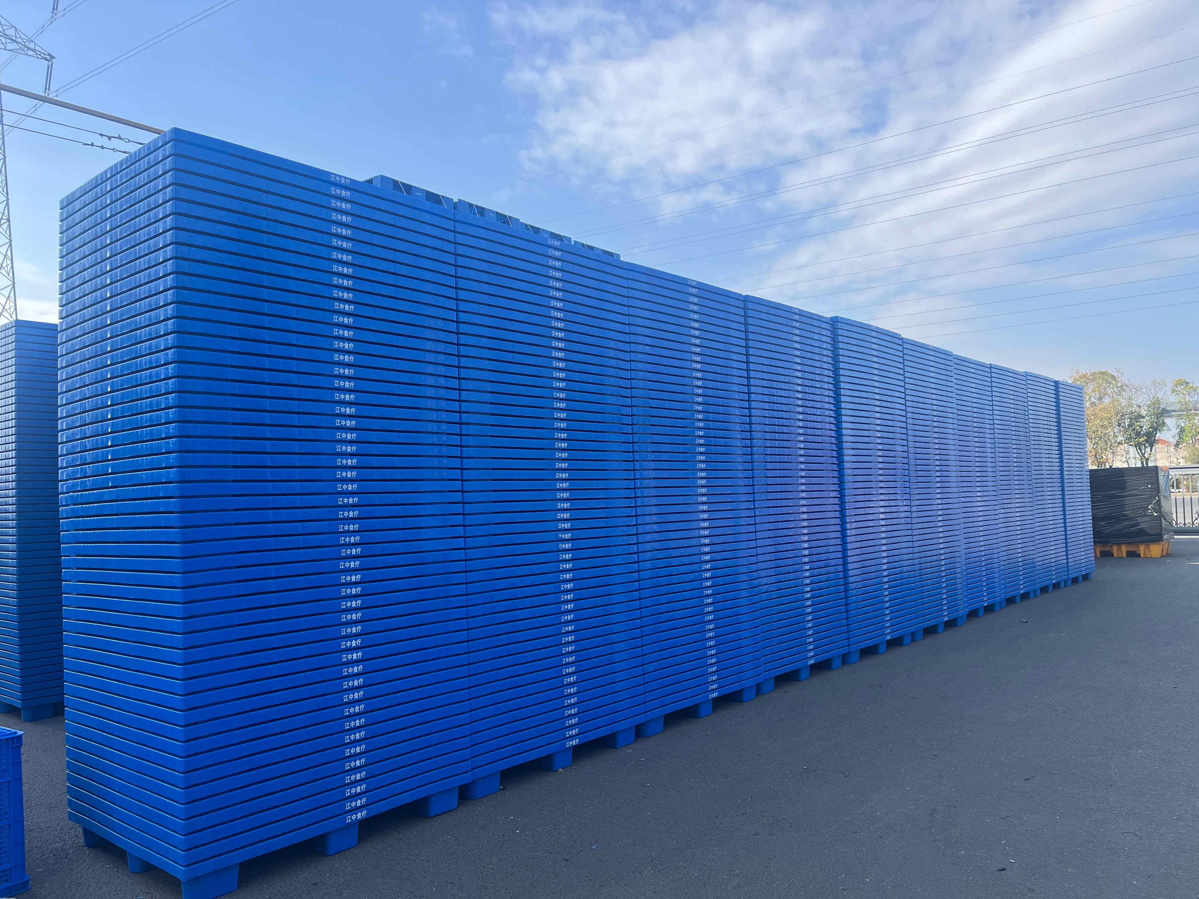 2025年塑料托盤價格揭秘！選對廠家避坑指南